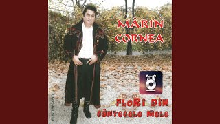 Download lagu Ia guriță, ia și bea mp3 Download lagu Ia guriță, ia și bea mp3