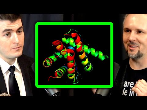 AlphaFold 2 is amazing but protein folding is still not solved | Dmitry Korkin and Lex Fridman