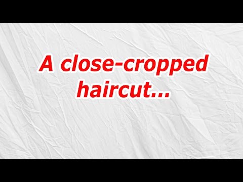 download lagu mp3 mp4 Hairstyle Cropped Close To Scalp, download lagu Hairstyle Cropped Close To Scalp gratis, unduh video klip Hairstyle Cropped Close To Scalp