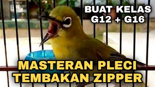 Download lagu MASTERAN PLECI TEMBAKAN ZIPPER PANJANG || BUAT KELAS G12 - G 16 mp3