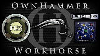 Video thumbnail for OwnHammer Workhorse H25 Collection introduction/walkthrough by Sonic Drive Studio