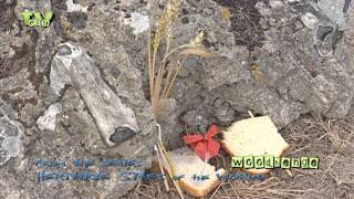 Woodhenge in Wiltshire - World Heritage