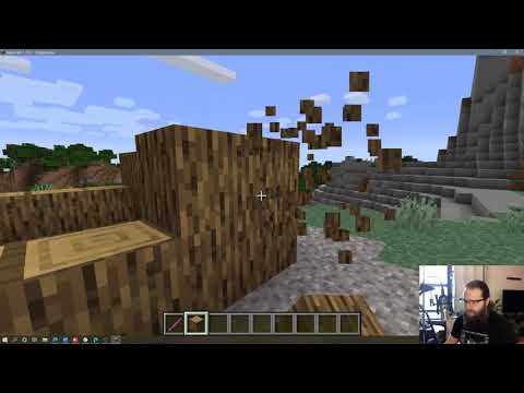 How to Use a Debug Stick in Minecraft - YouTube