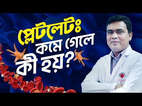 প্লেটলেট কী? কেন কমে? কেন এত আতঙ্ক?