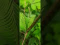 Nature 4k Video Beautiful Nature Hd Video Whatsapp Status Full Screen Hd Status Download