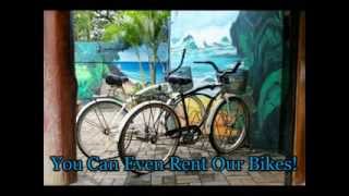 Every Day is Pura Vida at Tamarindo Backpackers Hostel Costa Rica!