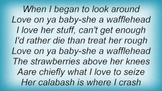 Robyn Hitchcock - Wafflehead Lyrics