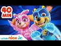 PAW Patrol Patrulla De Cachorros 40 Minutos De Los Episodios MÁS NUEVOS Nick Jr En Español