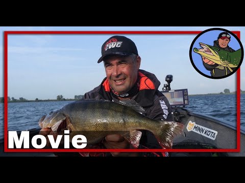 🎣 PERCH PRO 6, CWC FISHING TEAM COMPILATION  🎥  vissen op roofvis | perch fishing | kunstaas #16