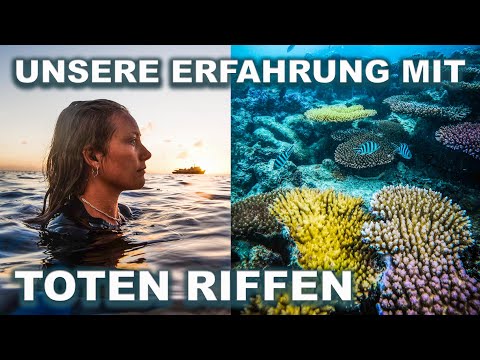 Wir sprechen über ein wichtiges Thema | Unsere Erfahrungen mit toten Riffen