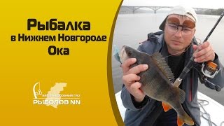 Клев рыбы в нижним новгороде
