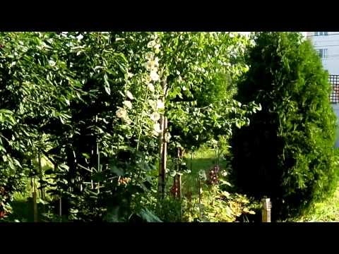 Pensiunea din Horezu cu piscină