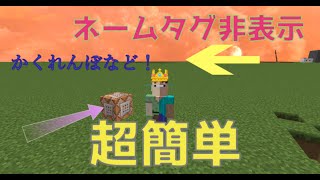 【マイクラ】ネームタグ非表示コマンド設定！　超簡単！？