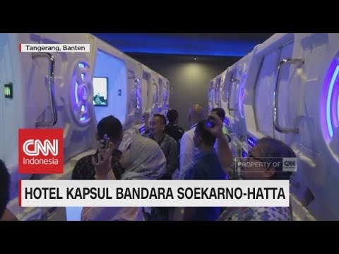 Tanaman berguna untuk potensi laki-laki Sredsta untuk potensi
