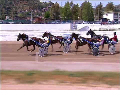 Trotto 30/04/2018 - 3ª corsa