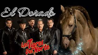 el dorado los tigres del norte 💥