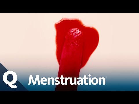 That's why we should talk more about periods (full episode) | Quarks