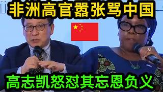 太过瘾！高志凯怒斥非洲白眼狼！女高官脸都黑了！最后只能尴尬纠正！非常精彩反击！