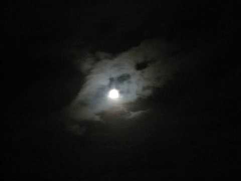 Monotones - monotone 2