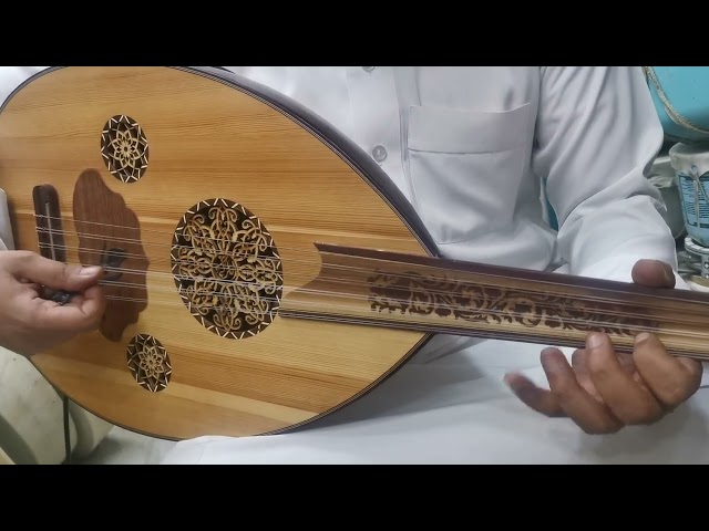 عود موسيقي احترافي كهربائي فاخر