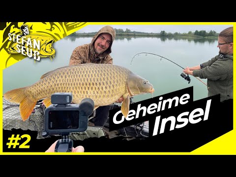 WELS und Karpfen am SEE #2  | Die KARPFEN drehen durch !! | BIG FISH auf GELB