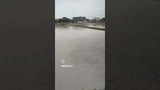 田んぼの代掻き(しろかき)風景