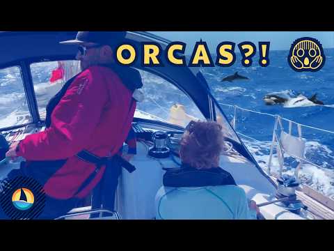 Ep57 | We Sailed Tenerife’s Acceleration Zone 🌬️ Wild Waters & Rare Orca Encounter