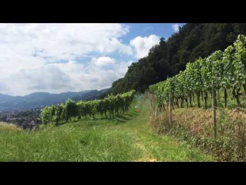 580gramm Salut Shell [Extremer Sound]