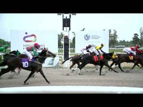 211102 c09 - EL SARAGON - HIPODROMO LAS PIEDRAS