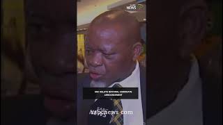 ANC delays mayoral candidate announcement