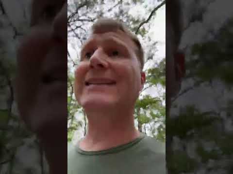 How to Spot Bitcoin Scams!