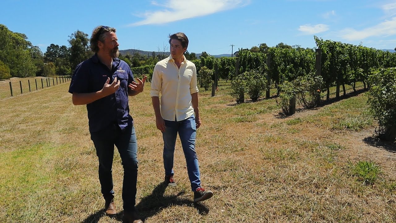 Yarra Valley Winery Tour | Meet the winemaker for Mandala Wines