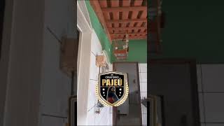 SENTINELA LIGEIRINHO 