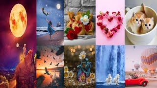 Sharechat Whatsapp Dp Images Youtube Videos Download Mp4 3gp Mp3 More