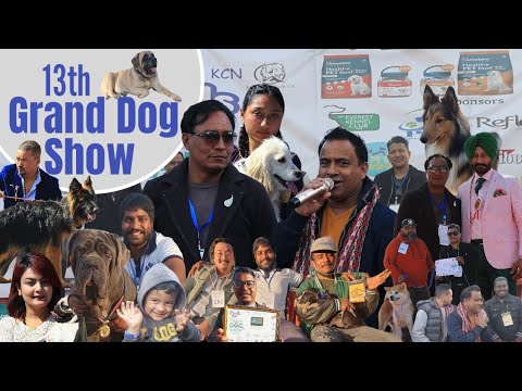 13th Grand Dog Show 2023 ( comedy club ko mundrey sir aaunu vayera aja ramailo vako thiyoo )