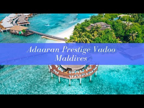 Videos del Adaaran Prestige Vadoo 5★ en Atolón de Malé Sur, MaldivasVer MásVerPrecios19CerrarConsulta por Whatsapp 🇦🇷BookingTripadvisorExpediaAgodaTravelocityOrbitzPricelineTripSkyscannerDespegarKayakHotelesDestiniaTrivagoTurismocityLastminuteHotwireTuiWotif