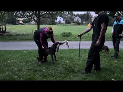 Orty z Jukasu - first protection training - 4 months