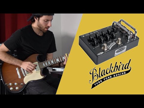 Effectrode Blackbird Tube Preamp Pedal image 5