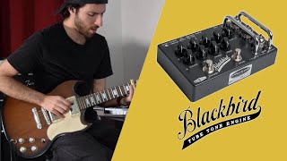 Video thumbnail for Effectrode BlackBird Preamp | A Tube Amp in a Pedal 👀 by Electric Mojo Guitars