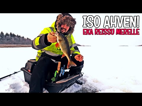 POHJAPADOLLA JA AHVENPILKILLÄ MERELLÄ - POHJAPATOA ON TAAS KUNNOSTETTU!?