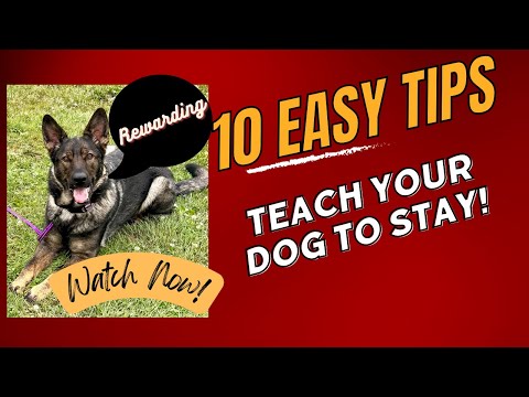 Best Way to Teach Stay