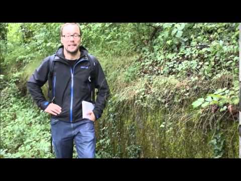 Kommandanten der Fortifikation Murten