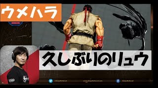 【スト5】ウメハラリュウ健在！　久しぶりに使っても流石の強さ【SFV】 Daigo Umehara(Ryu)