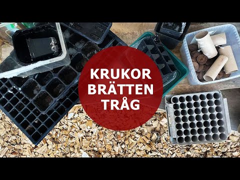 Saras tips: Krukor, brätten & tråg