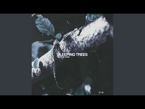 Sleeping Trees