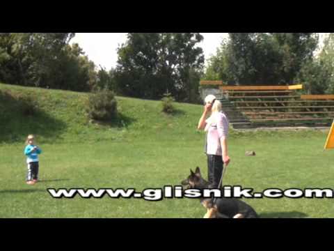 Ykar Vikar - protection