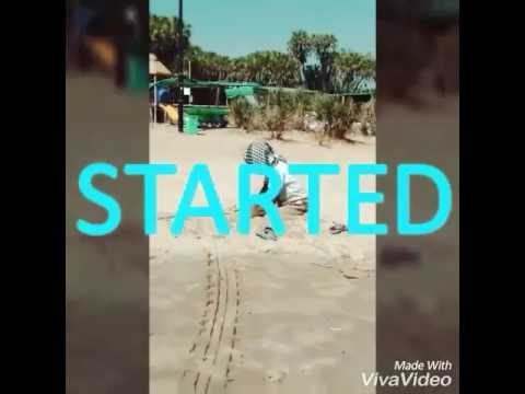 Bhavarth Beach fun 2017