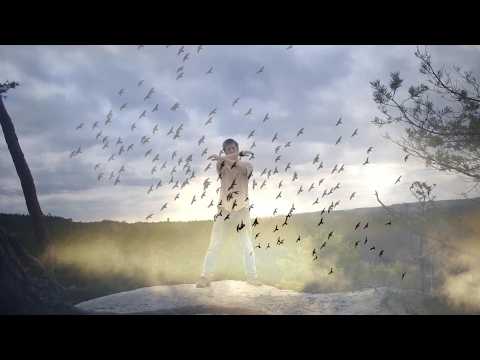 Dáma s hranostajem - Písně o svobodě musí znít