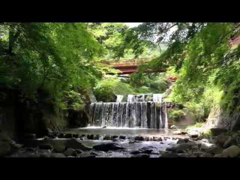 霊峰大山、初夏の色彩