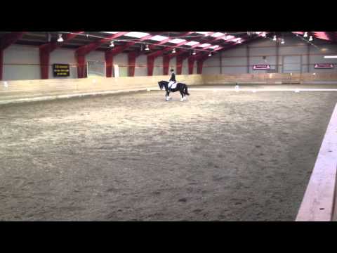 Søndermarkens Camilla Lb1